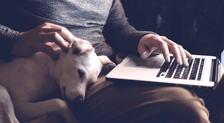 Take 10 With Your Furry Friend